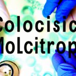 Microbiology Consulting